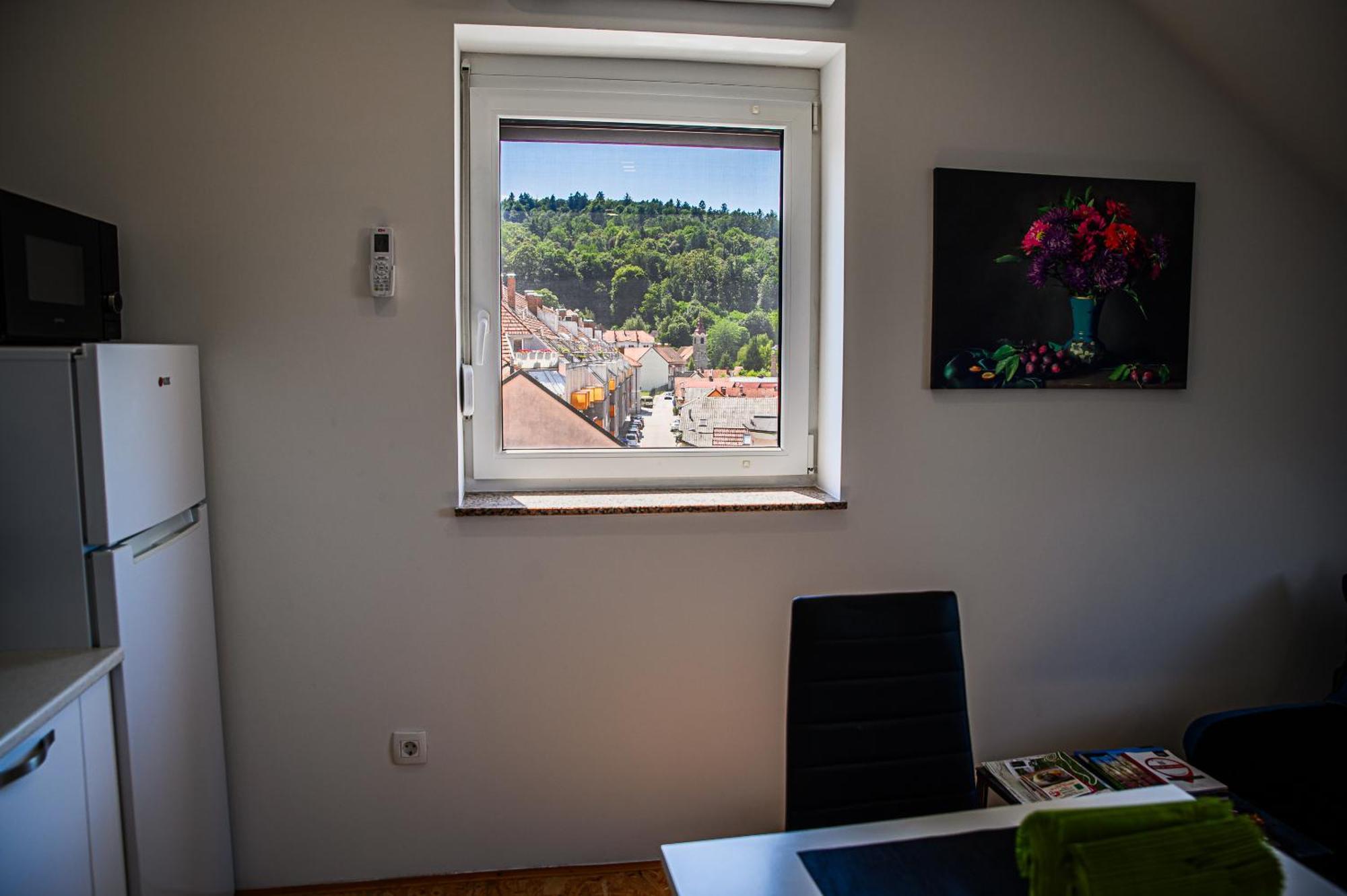 Apartment A1 류블랴나 객실 사진